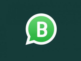 whatsapp business account